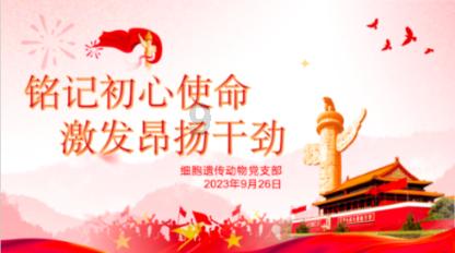 老公看见我和一个男的聊天了，有点不好听，我没有那当回事，老公在乎打人，派出所来了，想离婚起诉了？游戏画面